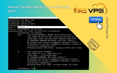 How to Transfer Files to a Linux VPS using SSH?