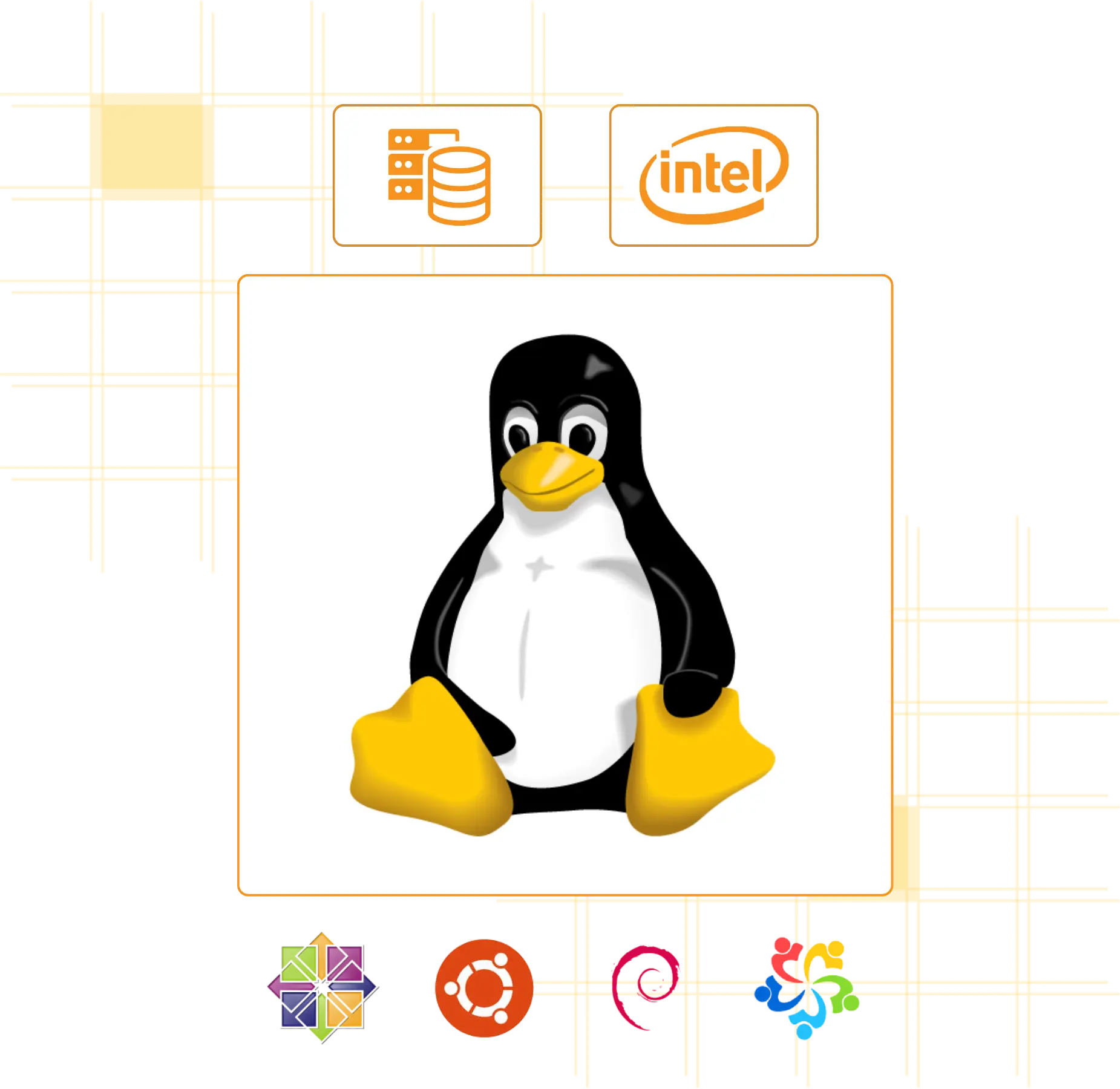 Best Linux VPS Hosting with Diverse OS