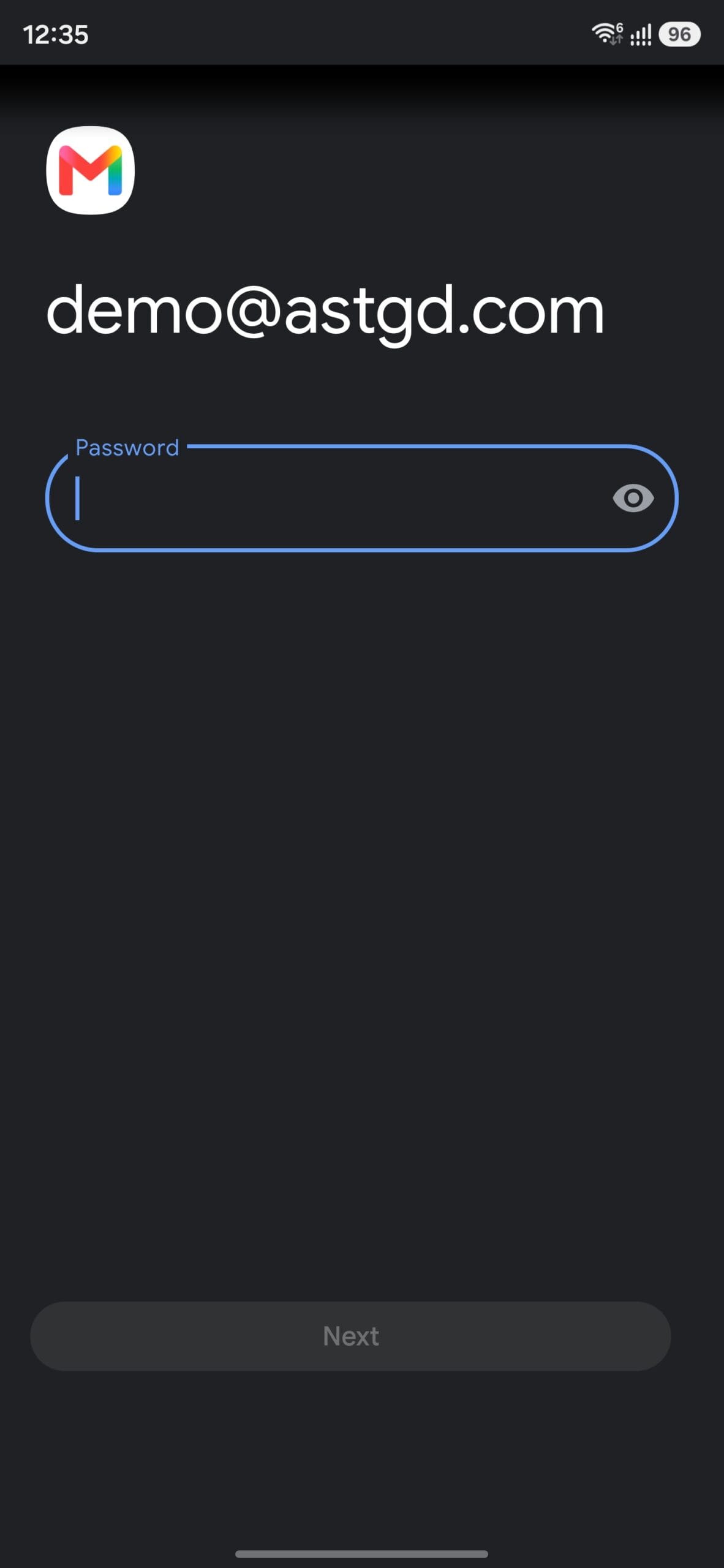 Enter your business email account password